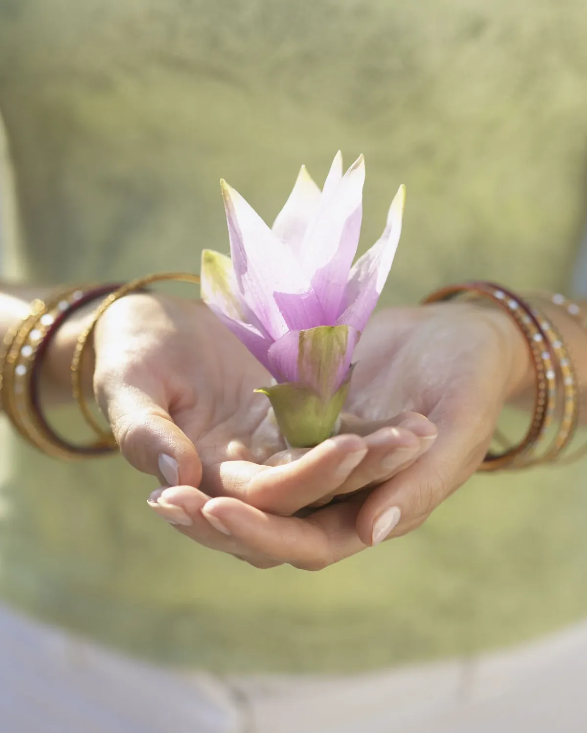 Hands cradling a lotus flower, symbol of healing and gentle care