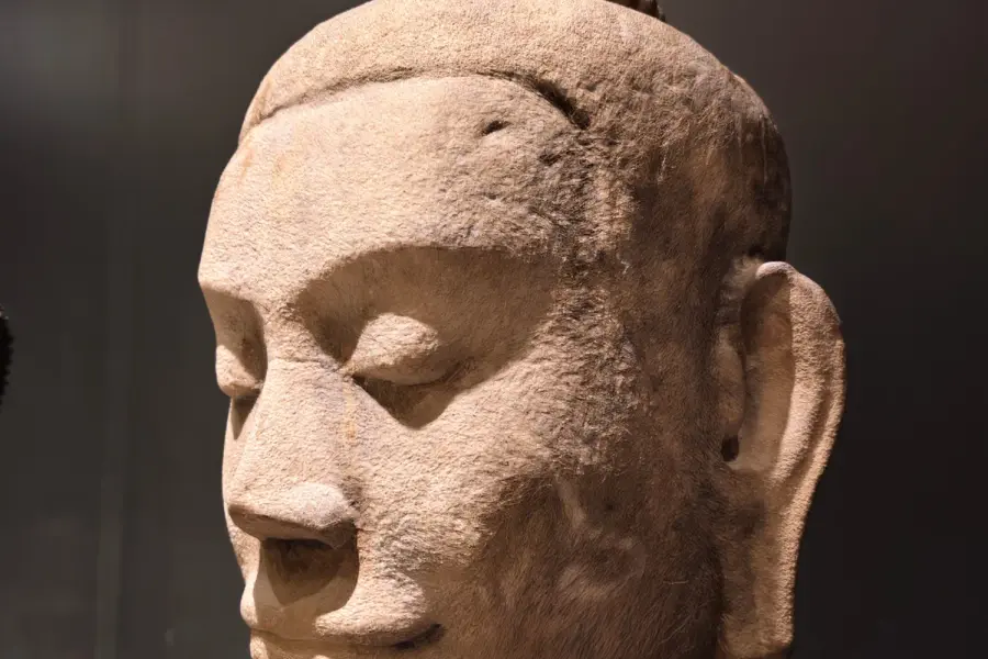 Face Reading